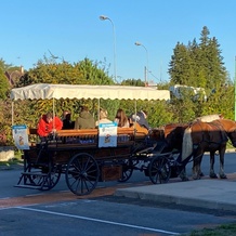Arrivée en calècheau bureau des salariés BONGLET