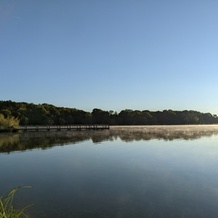 Le matin ...
