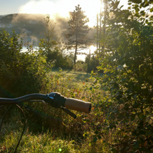 A vélo à Clairvaux