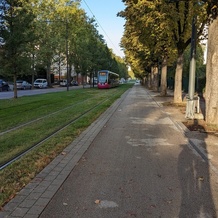 un tram qui monte à l'arrêt Grésilles... et mon ombre de cycliste prête à s'élancer dans la descente !