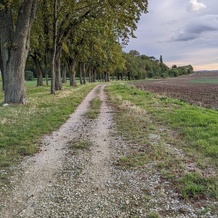 Un détour bien sympathique, ce petit chemin bucolique. Et voilà un peu de zen, pour bien finir la semaine.