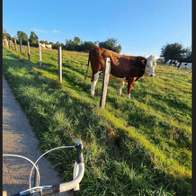 Le chemin des vaches, plutôt que les dos d'ânes