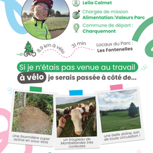 Campagne communication
