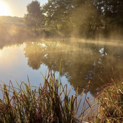 Etang au soleil levant entre Chenebier et Chalonvilllars (1)