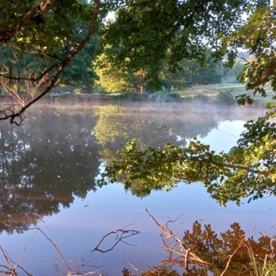 Etang au soleil levant entre Chenebier et Chalonvilllars (2)