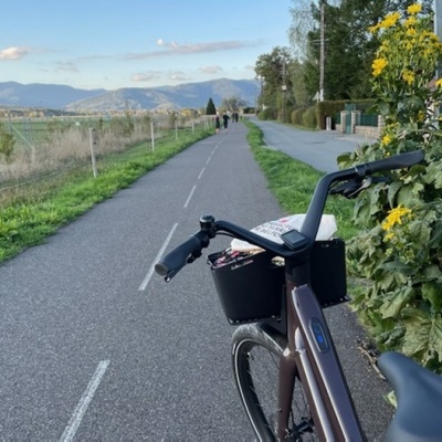 Vers les Vosges