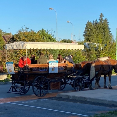 Arrivée en calècheau bureau des salariés BONGLET