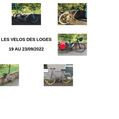 Les Véloges du CM 2022