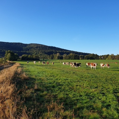 Vue sur le Salbert