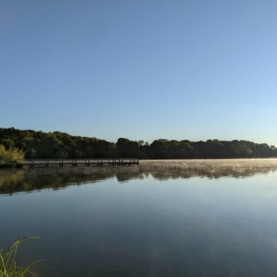 Le matin ...