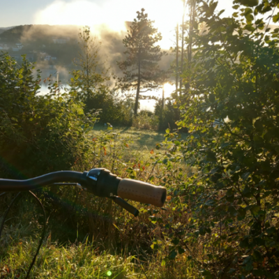 A vélo à Clairvaux