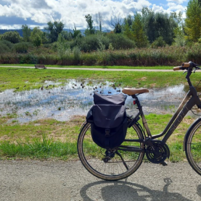 A vélo à Clairvaux
