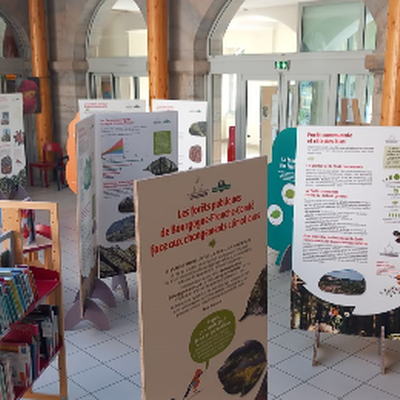 Exposition changement climatique médiathèque Clairvaux