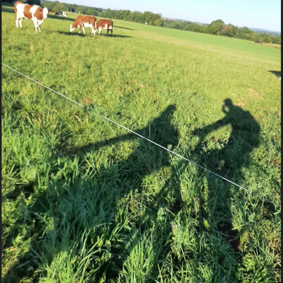 Un tandem ?