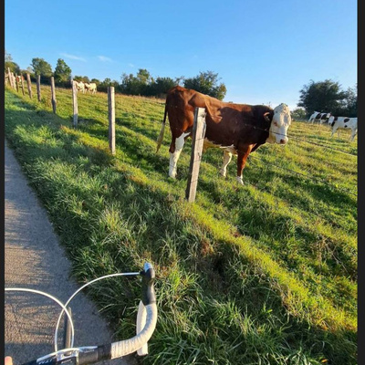 Le chemin des vaches, plutôt que les dos d'ânes