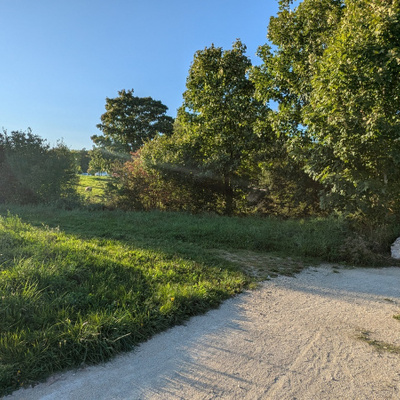 18-09-2025 : Chemin buccolique... en pleine banlieue dijonnaise © Jean-Philippe HARAND (Alterre)